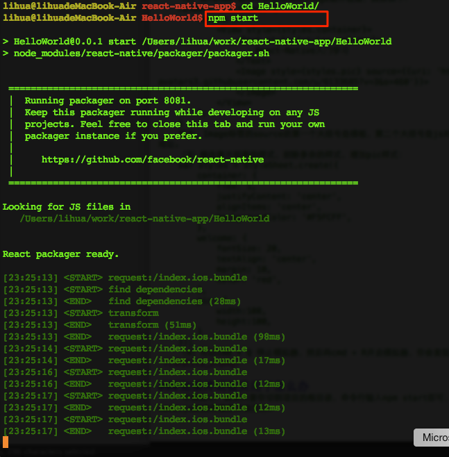 npm start